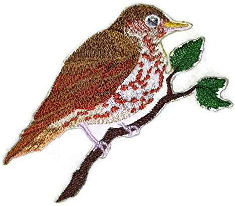 הטבע שזוף בחוטים, ממלכת ציפורים מדהימה [ציפור קיכלי עץ יחידה] [בהתאמה אישית וייחודית] ברזל רקום על תיקון/תפירה